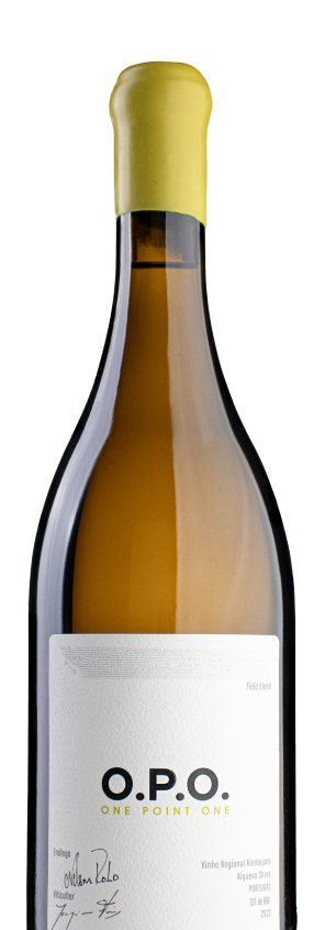 Vinho 